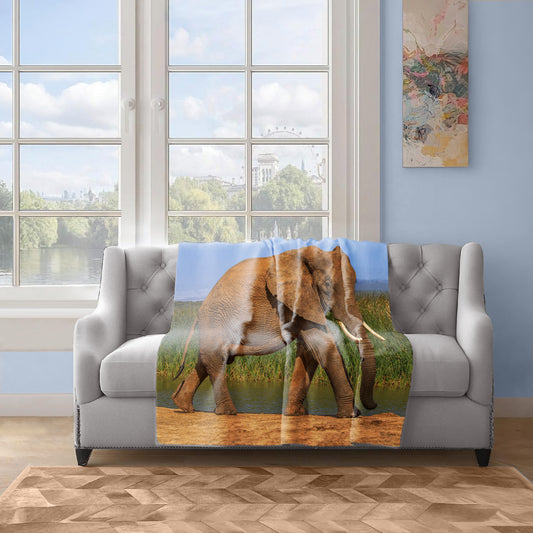 Addo Elephant Loxodonta Light Weigt Fleece Blanket By Fanie Heymans