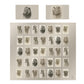 Africa's Animals Duvet Cover Set by Nathan Pieterse