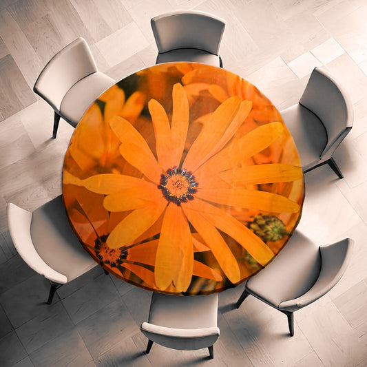 African Daisies Round Tablecloth by Annette Heymans