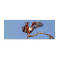 African Fish Eagle Landing Desk Pad by Fanie Heymans