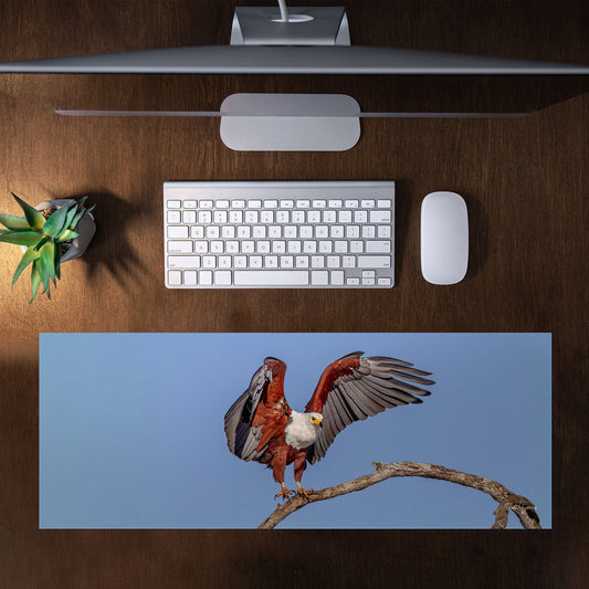 African Fish Eagle Landing Desk Pad by Fanie Heymans