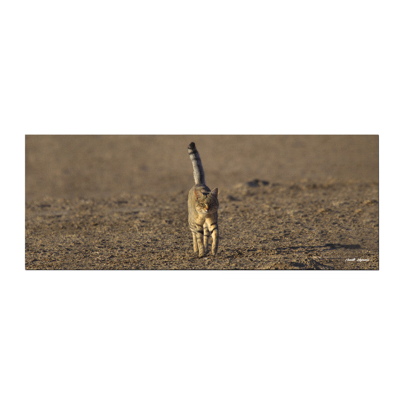 African Wild Cat Large Desk Pad by Annette Heymans
