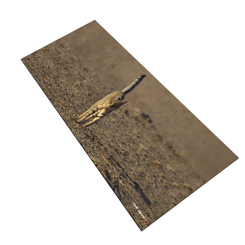 African Wild Cat Large Desk Pad by Annette Heymans