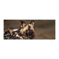 African Wild Dog Desk Pad by Fanie Heymans
