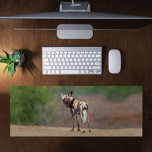 African Wild Dog Desk Pad by Fanie Heymans