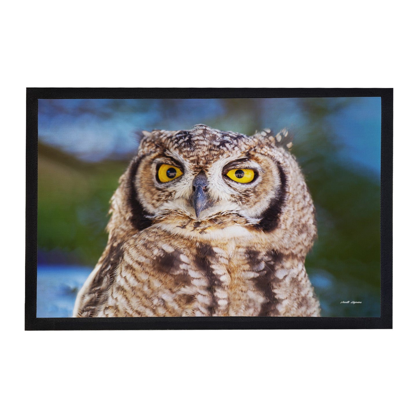 African Spotted Eagle Owl Door Mat by Annette Heymans