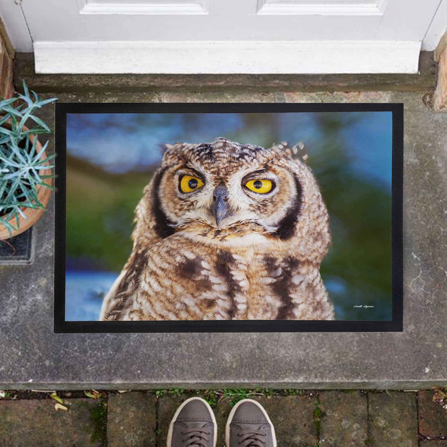 African Spotted Eagle Owl Door Mat by Annette Heymans