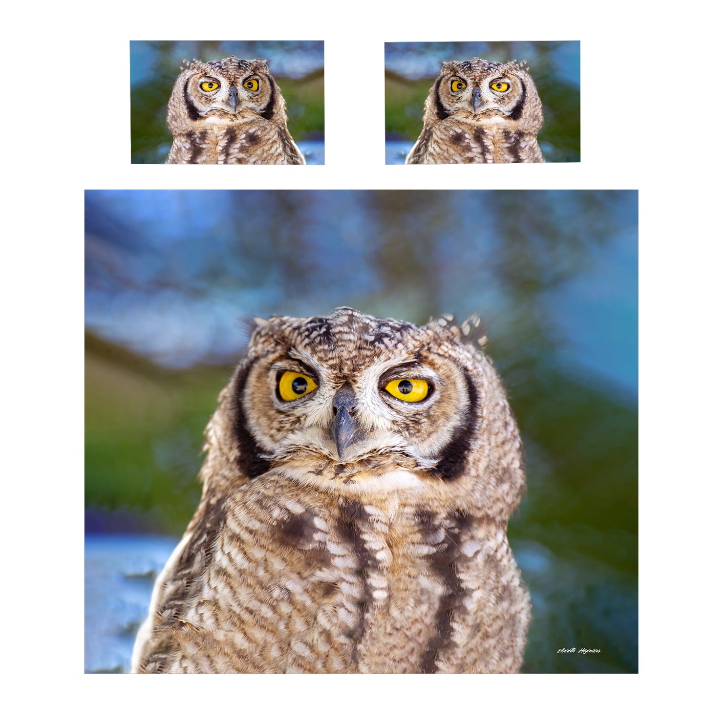 African Spotted Eagle Owl Duvet Cover Set by Annette Heymans