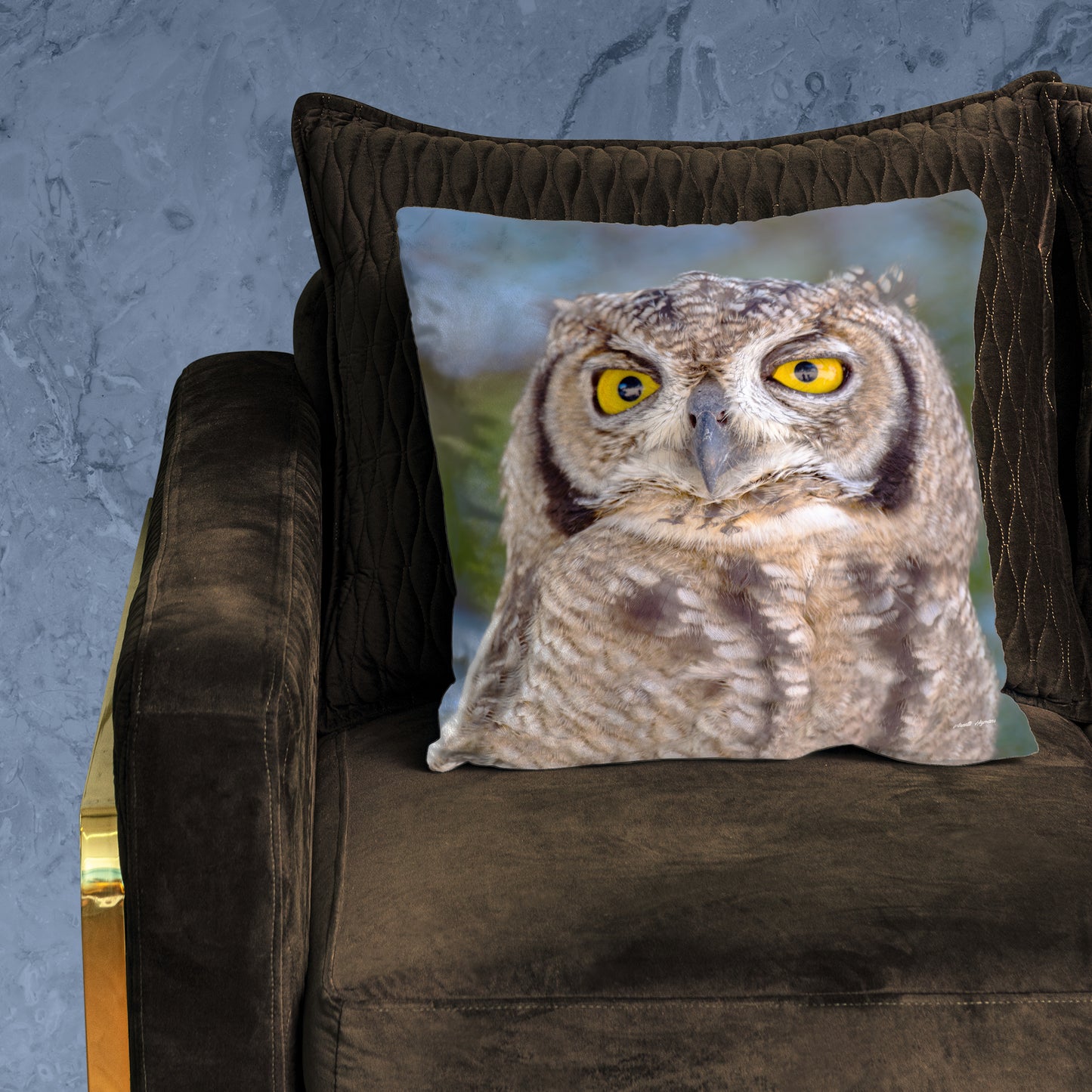 African Spotted Eagle Owl Luxury Scatter by Annette Heymans