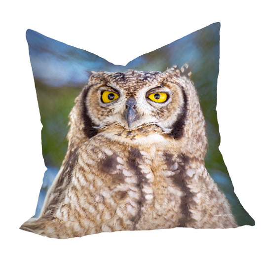African Spotted Eagle Owl Luxury Scatter by Annette Heymans