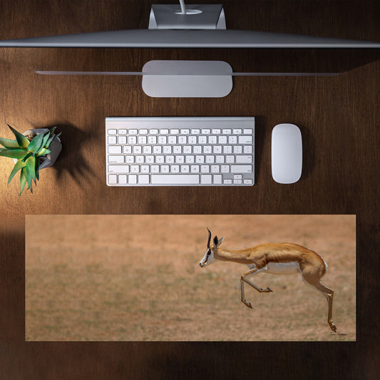 Airborne Springbok Desk Pad by Fanie Heymans