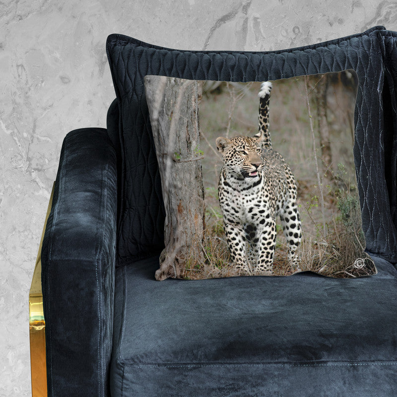 Alert Leopard Luxury Scatter by Ferdie Muller