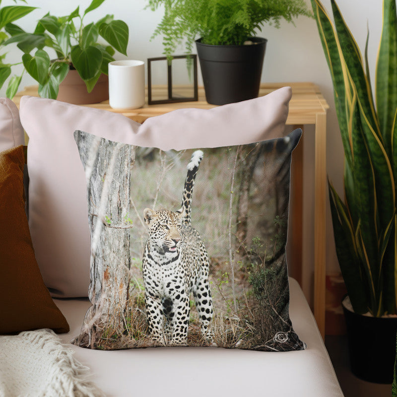 Alert Leopard Luxury Scatter by Ferdie Muller