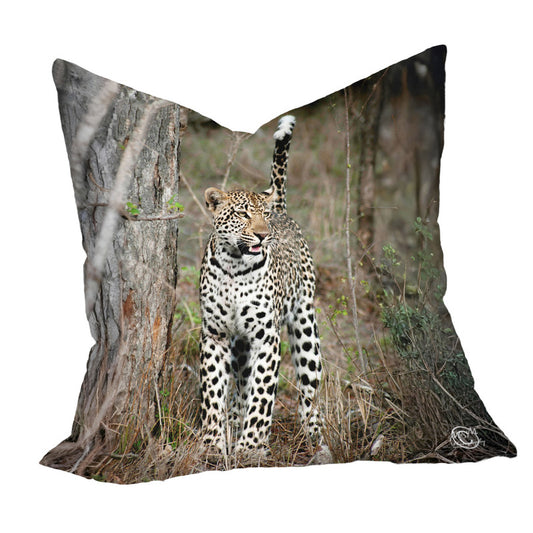 Alert Leopard Luxury Scatter by Ferdie Muller