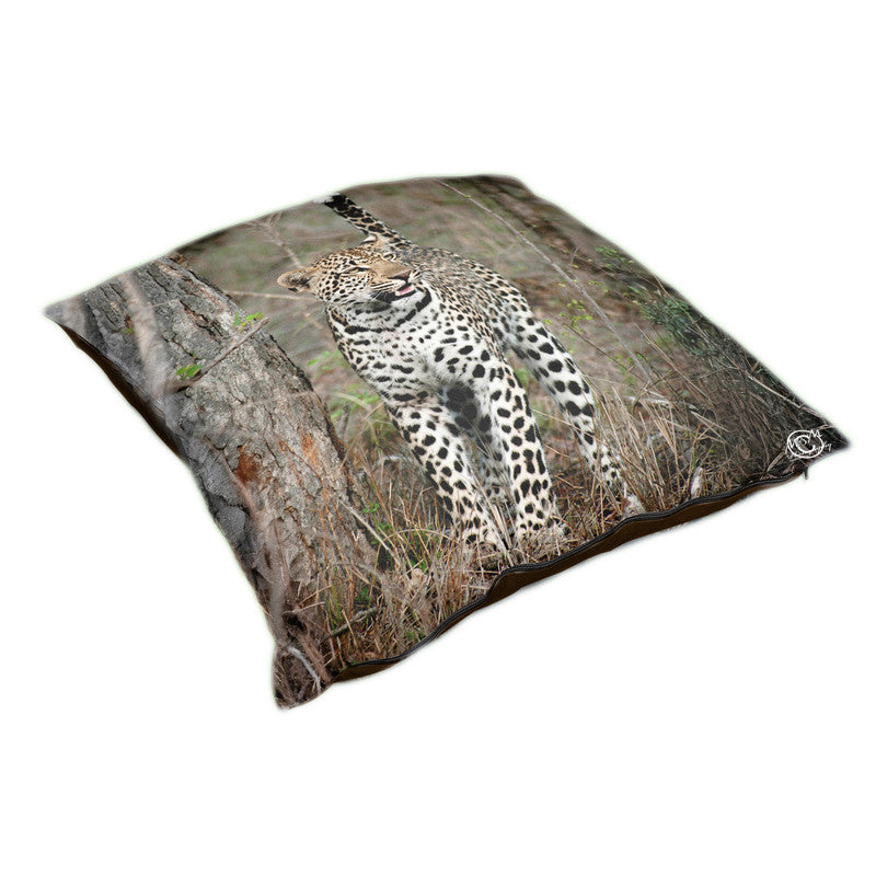 Alert Leopard Luxury Scatter by Ferdie Muller
