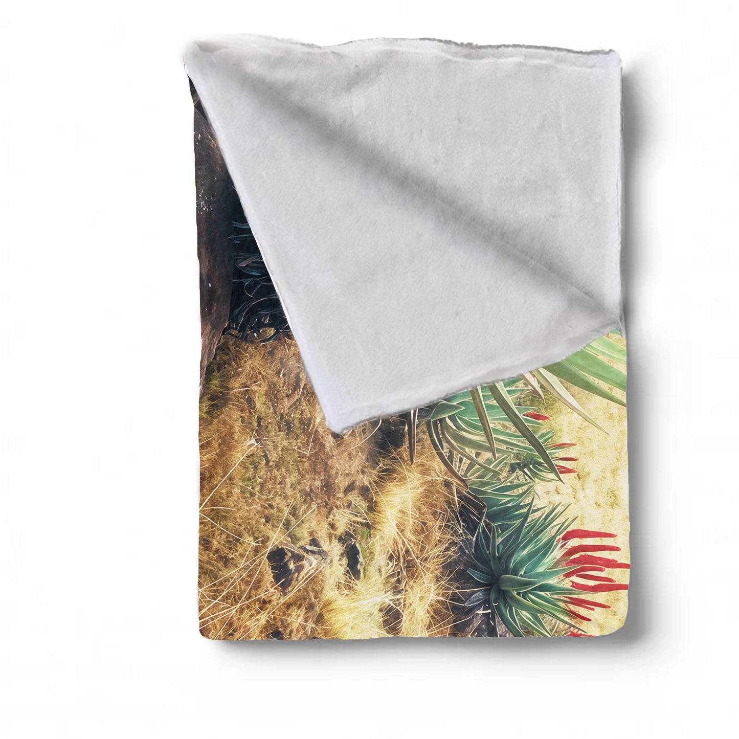 Aloe Fields Light Weight Fleece Blanket