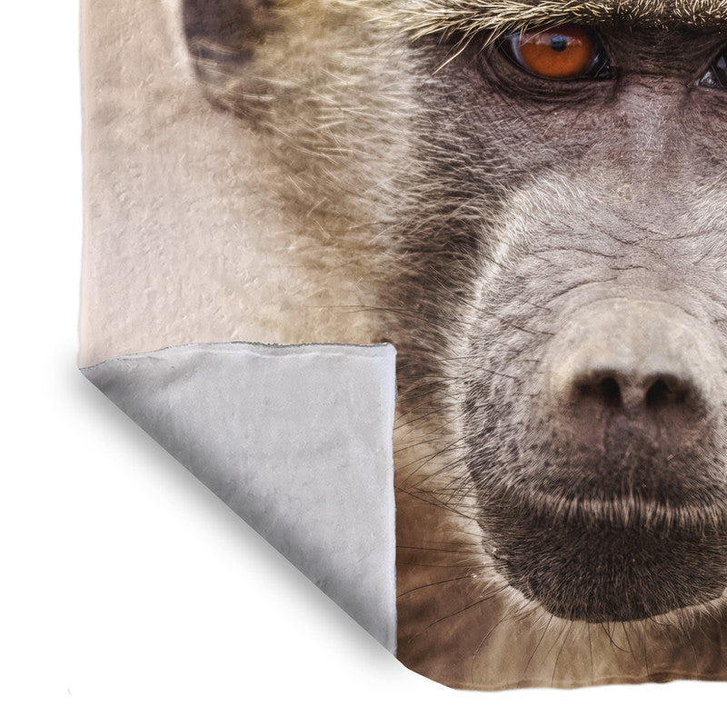 Baboon Portrait Light weight fleece blanket By By Fanie]] Heymans