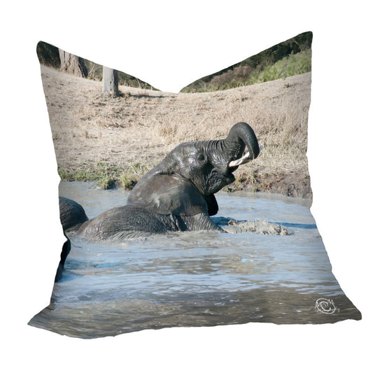 Baby Ellie Luxury Scatter by Ferdie Muller