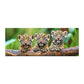 Baby Jaguar Large Desk Pad