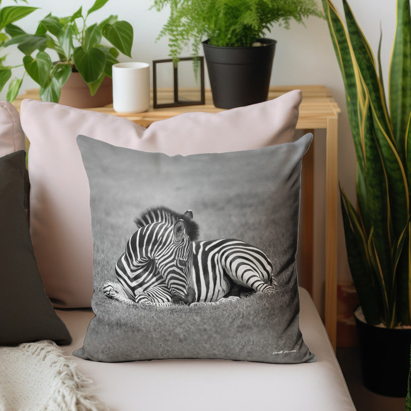 Baby Zebra Resting Luxury Scatter by Annette Heymans