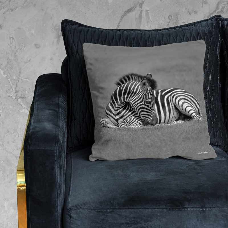 Baby Zebra Resting Luxury Scatter by Annette Heymans