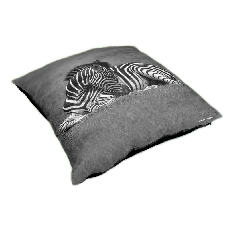 Baby Zebra Resting Luxury Scatter by Annette Heymans