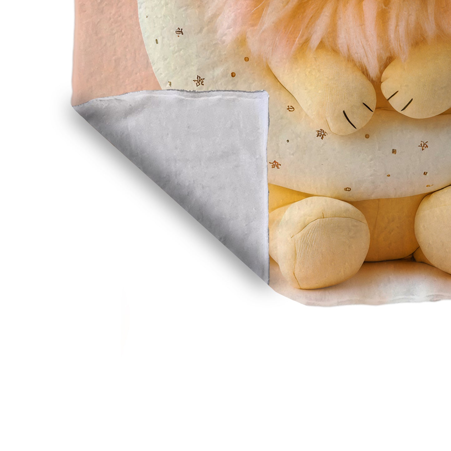 Baby Lion Teddy Minky Blanket