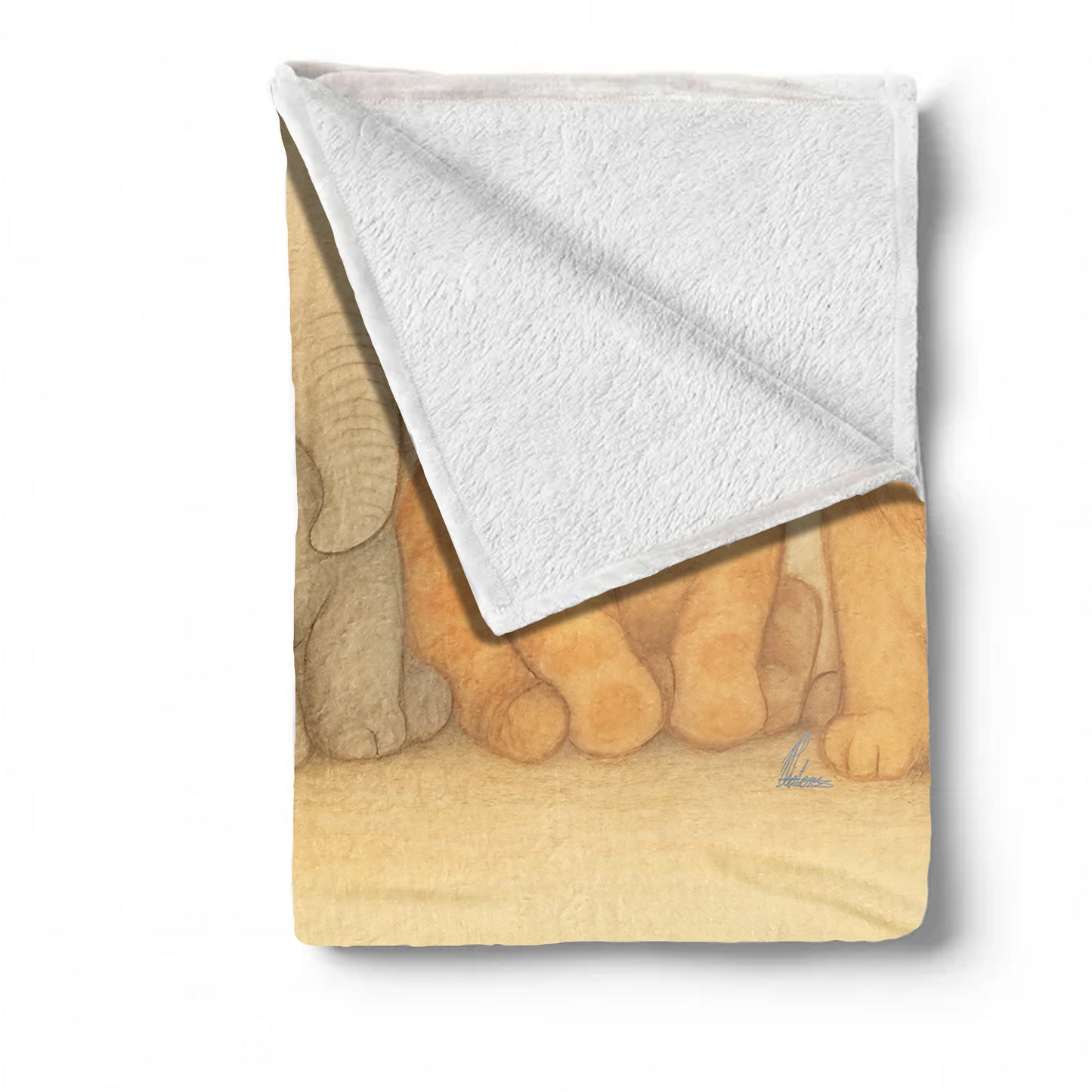 Baby Safari Friends Minky Blanket by Nathan Pieterse