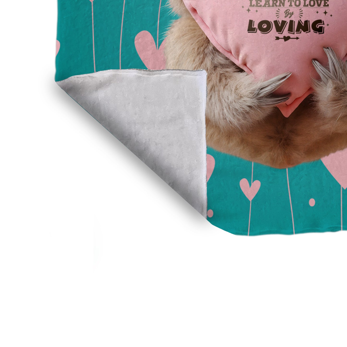 Baby Sloth Minky Blanket