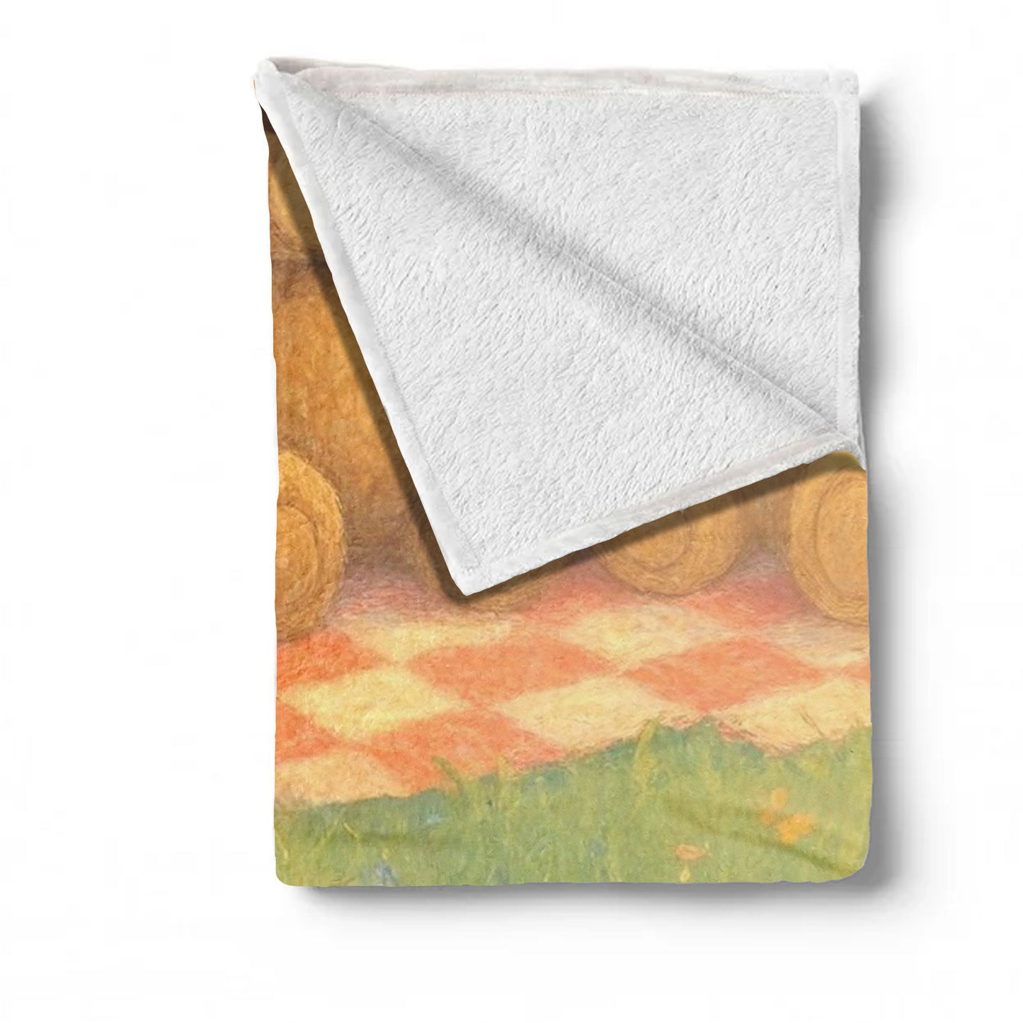 Baby Teddy Bear Picnic Minky Blanket by Nathan Pieterse