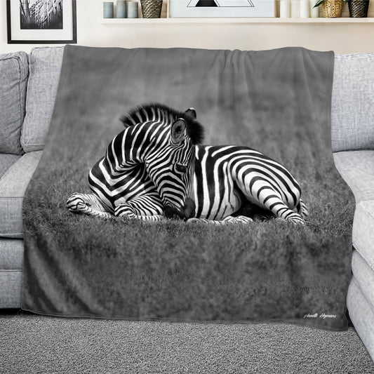 Baby Zebra Resting Light Weight Fleece Blanket by Annette Heymans