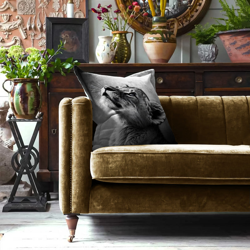 Becoming A Lion Exclusive Range Cushions