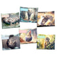 Bedtime Stories Subject Savvy Book Bags Set of 6