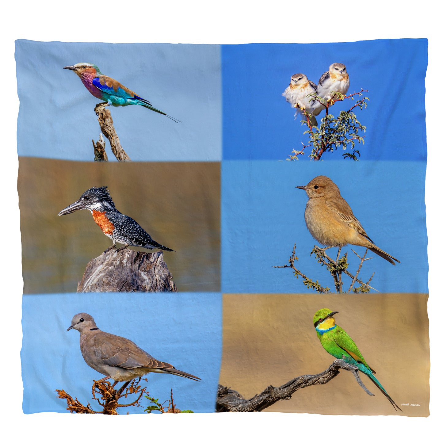 Birds Light Weight Fleece Blanket by Annette Heymans