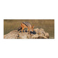 Black Back Jackal Desk Pad by Annette Heymans
