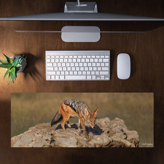 Black Back Jackal Desk Pad by Annette Heymans
