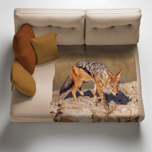Black Back Jackal Light Weight Fleece Blanket by Annette Heymans