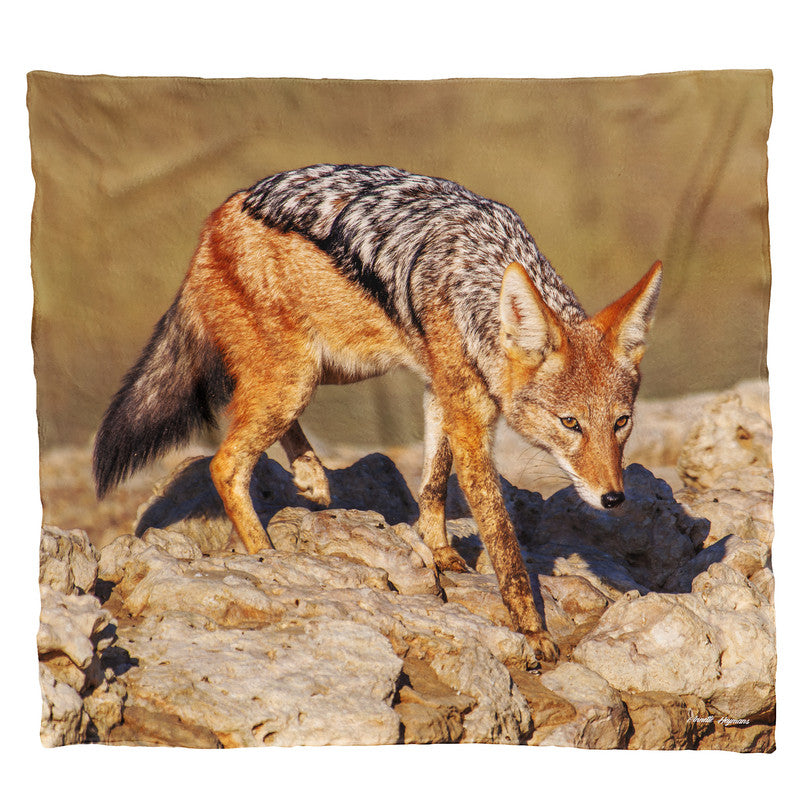 Black Back Jackal Light Weight Fleece Blanket by Annette Heymans