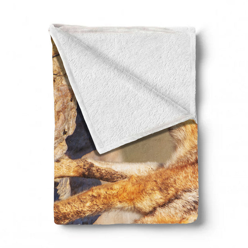 Black Back Jackal Light Weight Fleece Blanket by Annette Heymans