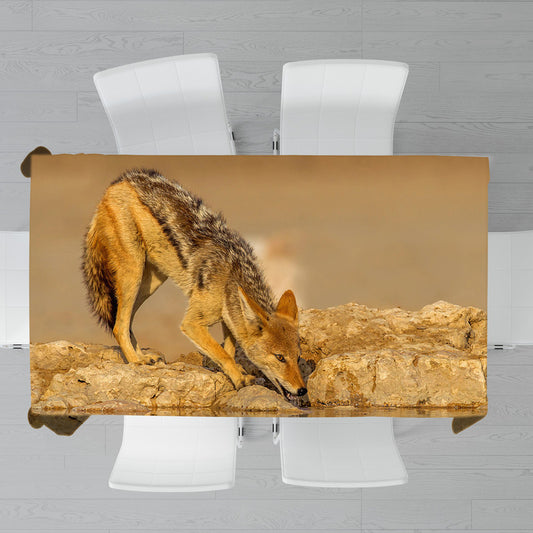 Black Backed Jackal Jakkals Canis Mesomelas By Fanie Heymans Rectangle Tablecloth