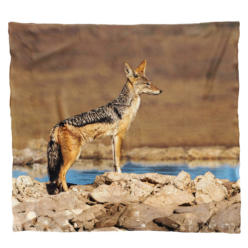Black Backed Jackal Scanning Area Light Weight Fleece Blanket by Fanie Heymans