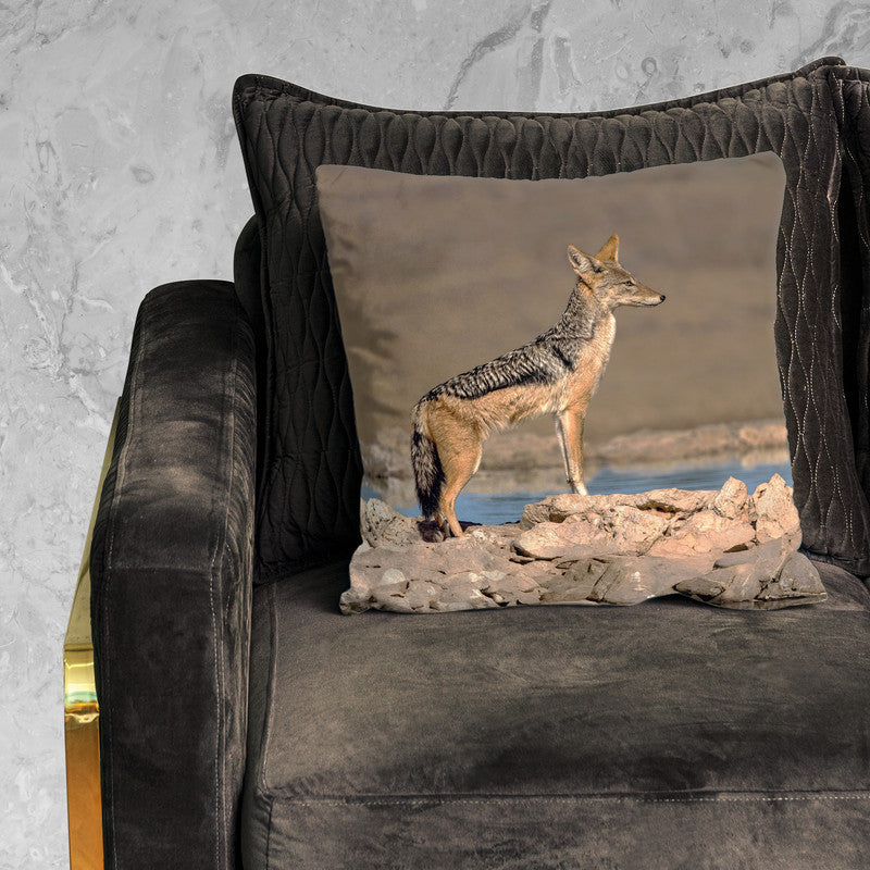 Black Backed Jackal Scanning Area Luxury Scatter by Fanie Heymans