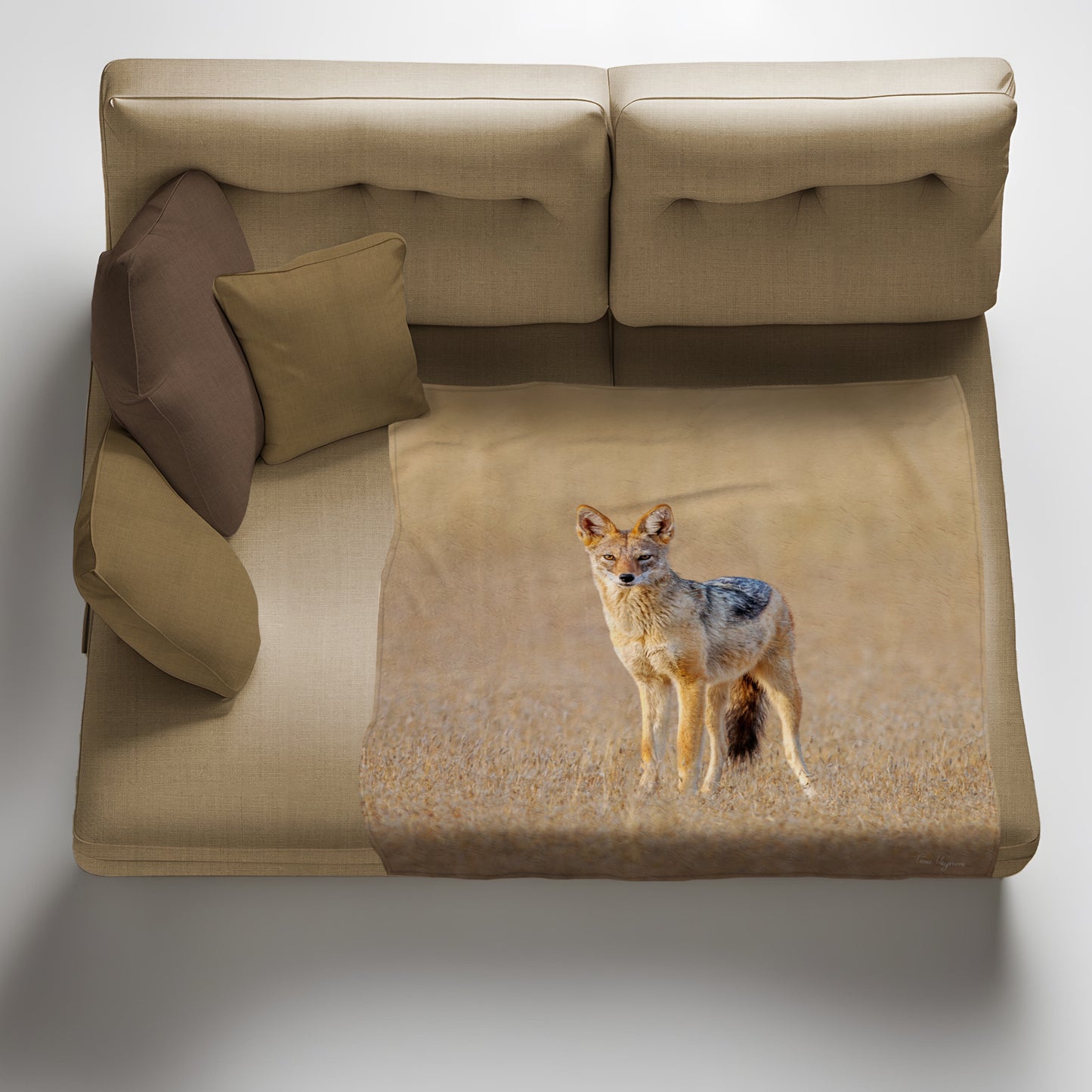 Blacked Backed Jackal Light Weight Fleece Blanket by Fanie Heymans