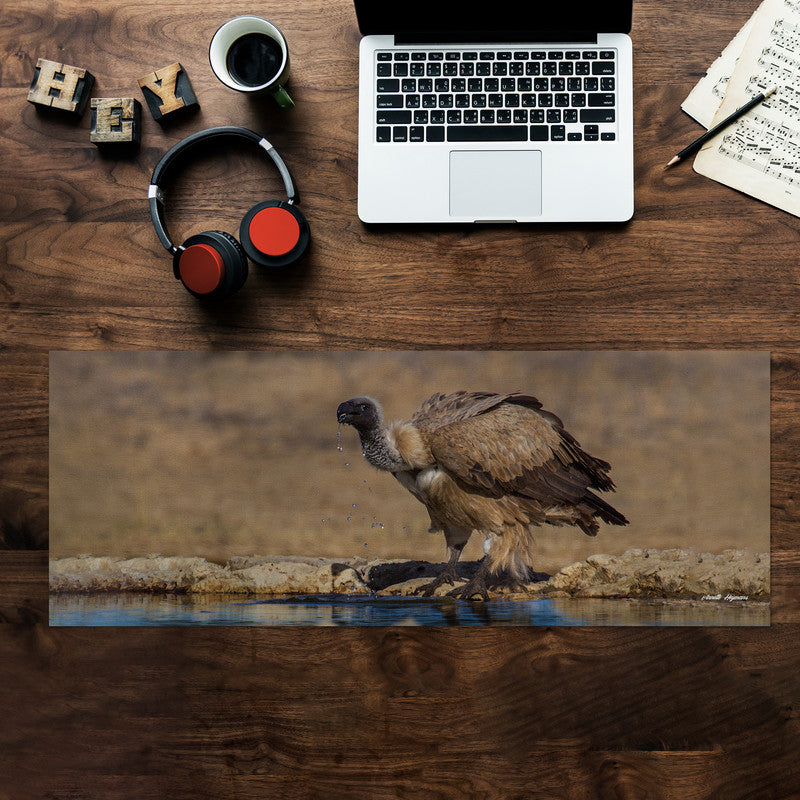 Cape Vulture Drinking Large Desk Pad By Annette Heymans