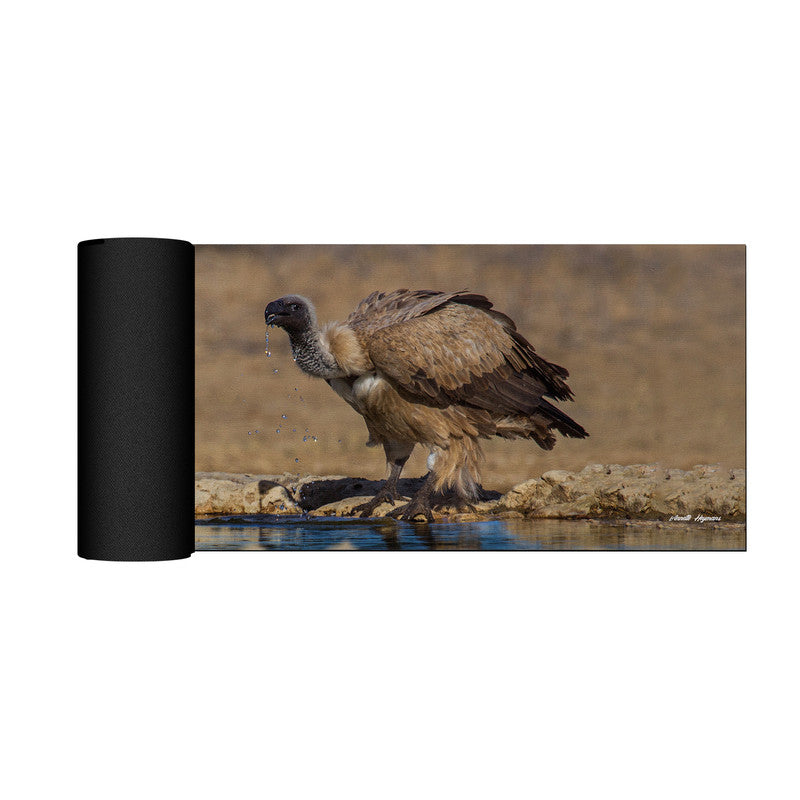 Cape Vulture Drinking Large Desk Pad By Annette Heymans