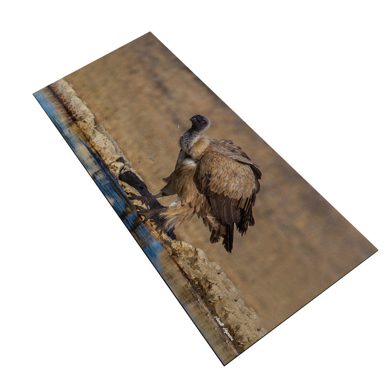 Cape Vulture Drinking Large Desk Pad By Annette Heymans