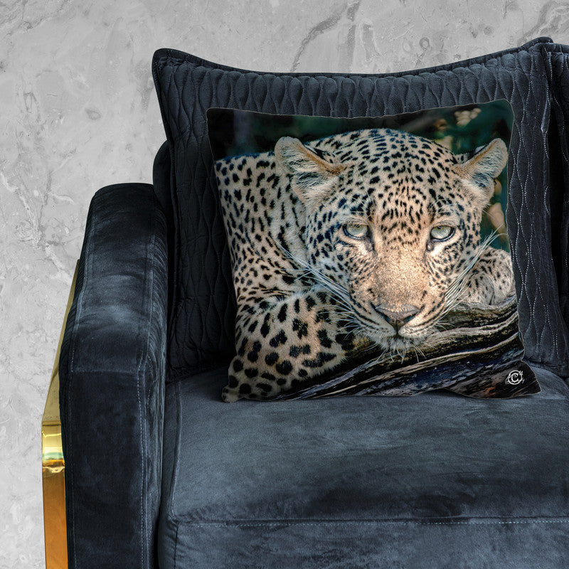 Careless Leopard Luxury Scatter by Ferdie Muller