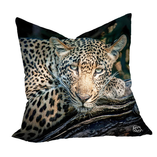 Careless Leopard Luxury Scatter by Ferdie Muller