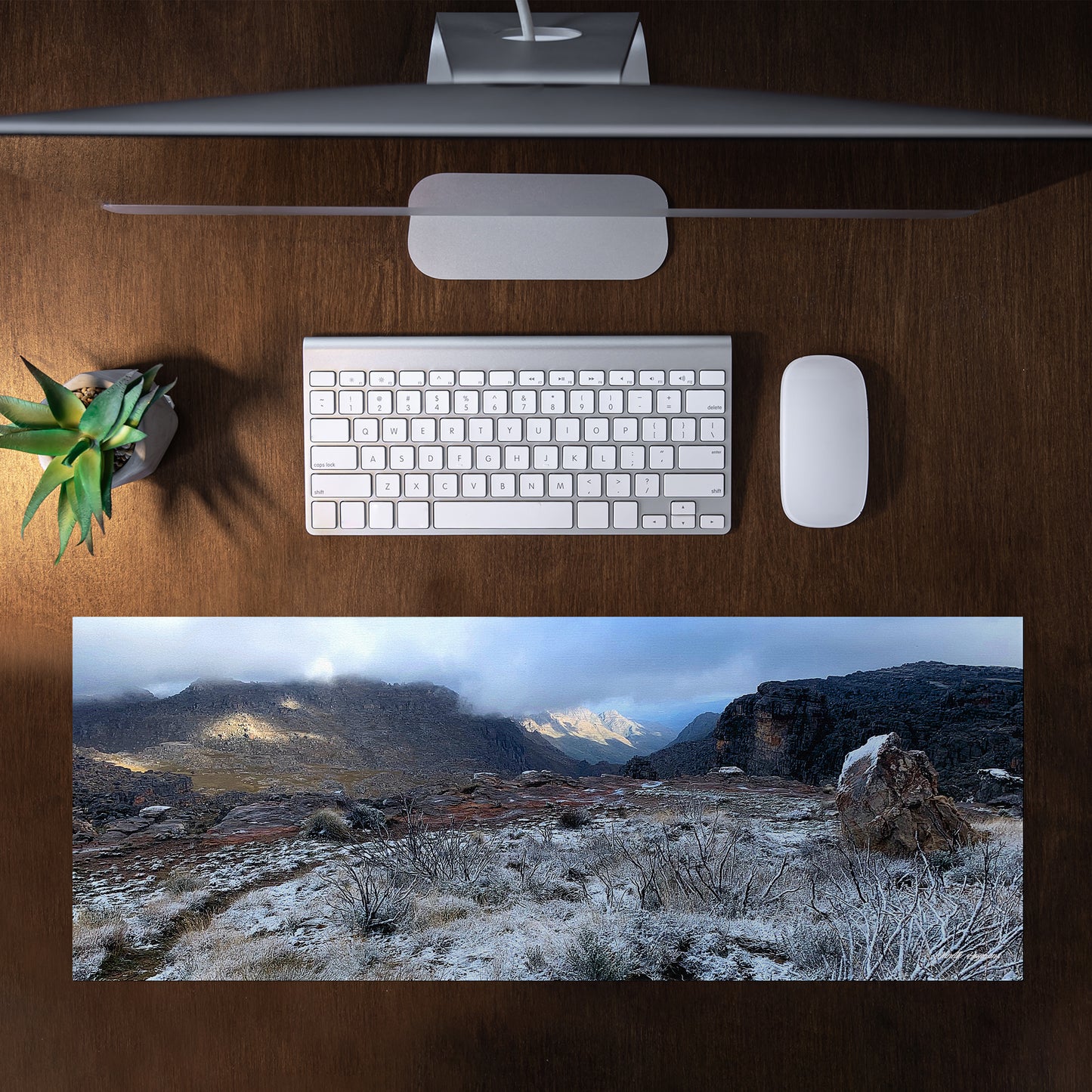 Cederberg Winter Scene Desk Pad by Annette Heymans