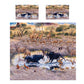 Challenge Accepted Duvet Cover Set by Delene Lambert